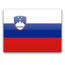 Иконка флага